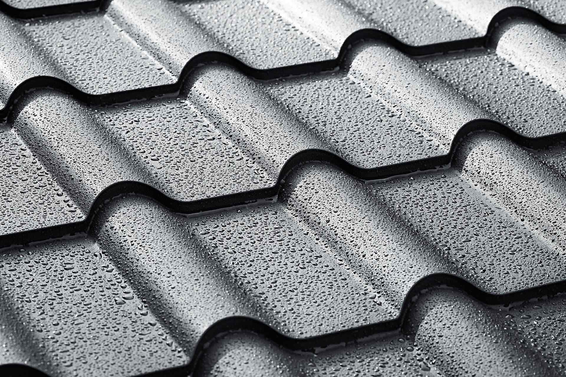 portfolio_02 portfolio_02