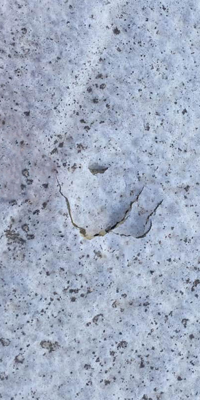 HailDamage https://roofmaster.duncanday.com/wp-content/uploads/2020/07/HailDamage.jpg